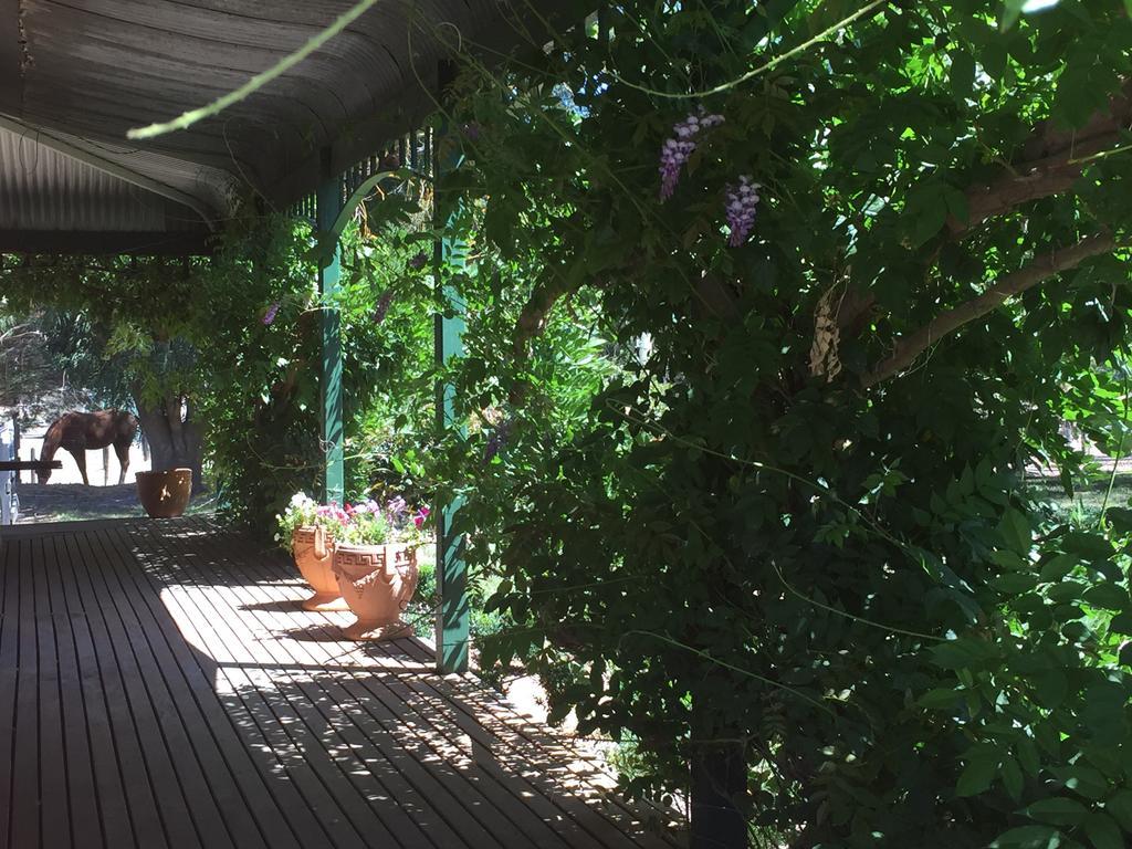 Birchwood Cottage Yarck エクステリア 写真