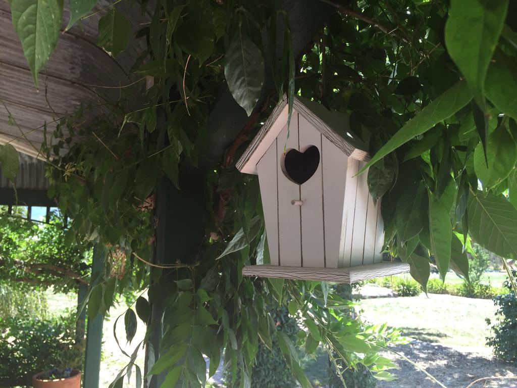 Birchwood Cottage Yarck エクステリア 写真