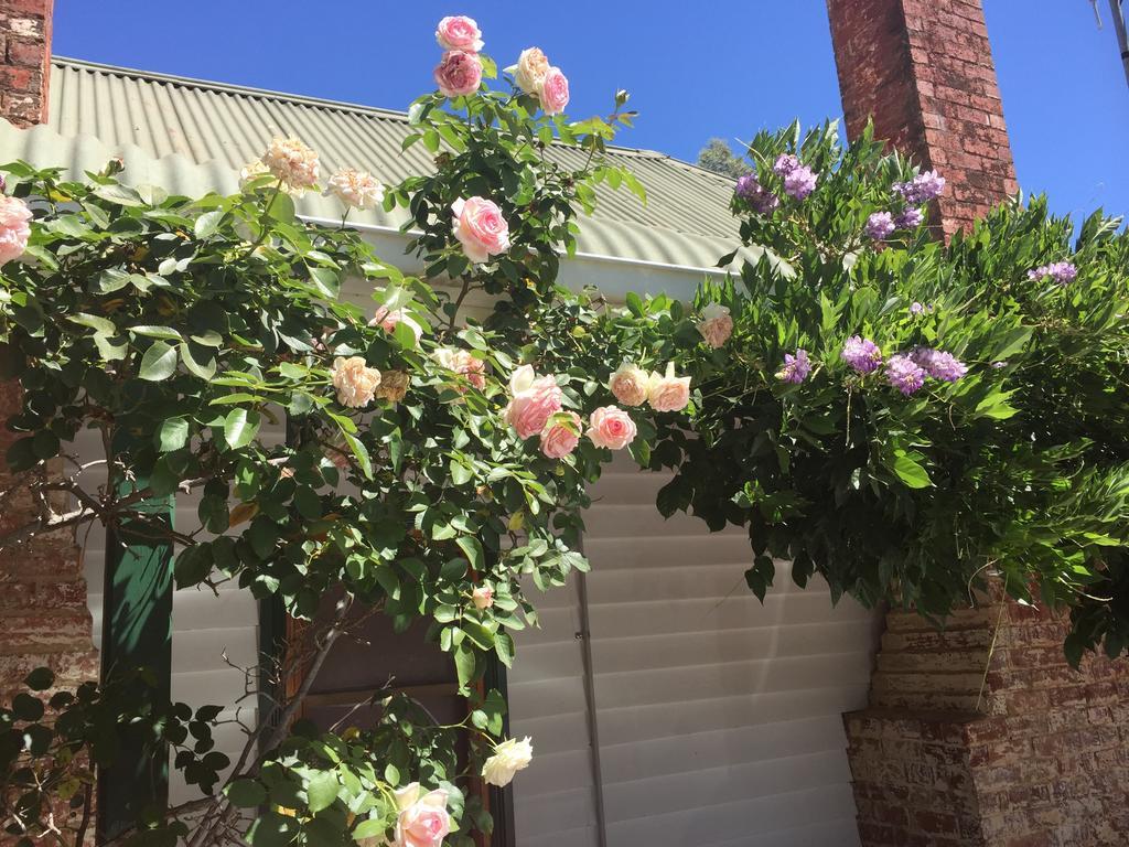 Birchwood Cottage Yarck エクステリア 写真